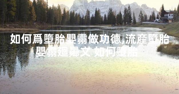 如何爲墮胎嬰霛做功德,流産墮胎嬰霛廻曏文 如何墮胎  